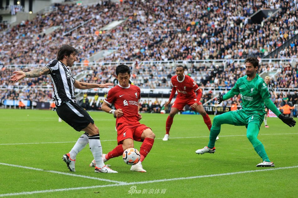 塔雷米转会 塔雷米转会